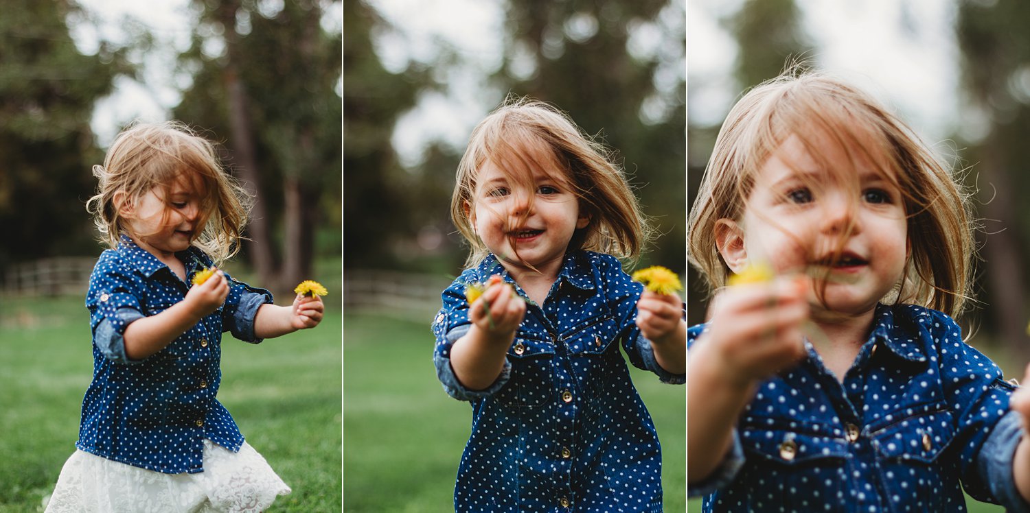 Portraits of young girl running excitedly through grass with dandelions