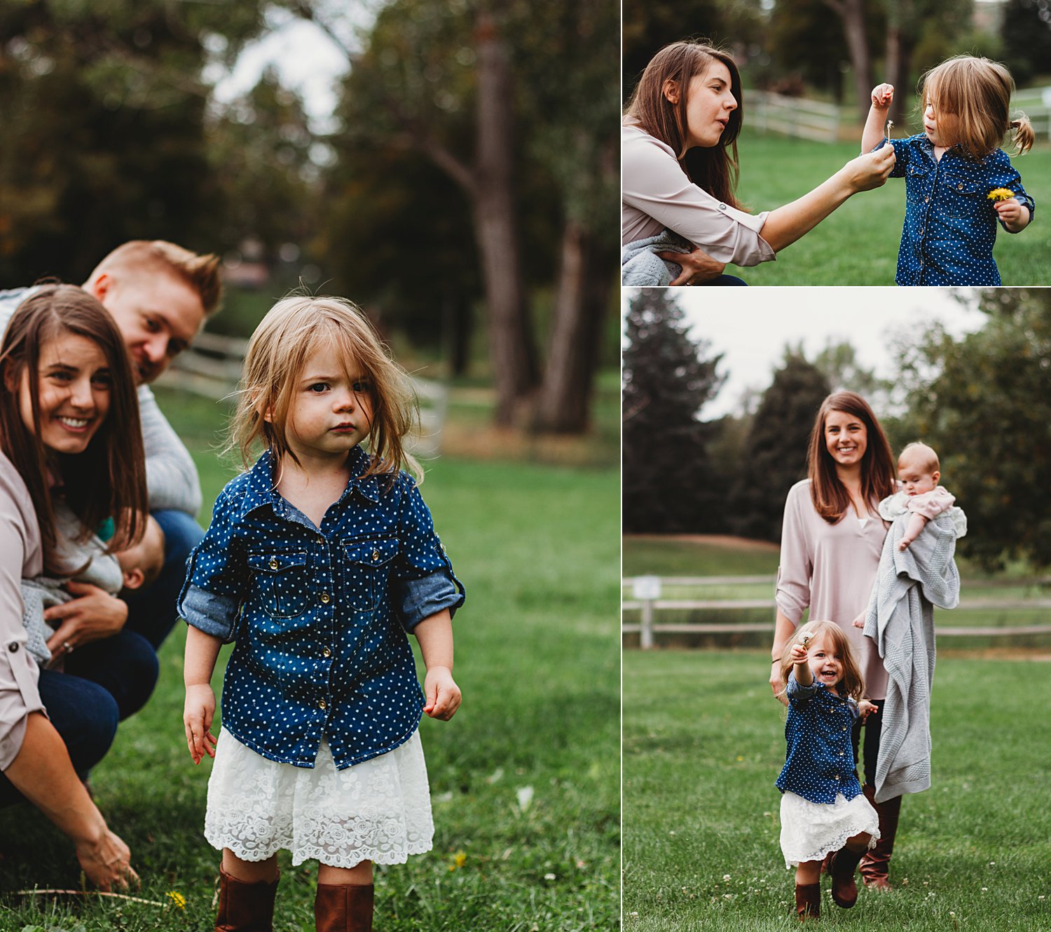 Lifestyle portraits of young family in grass field