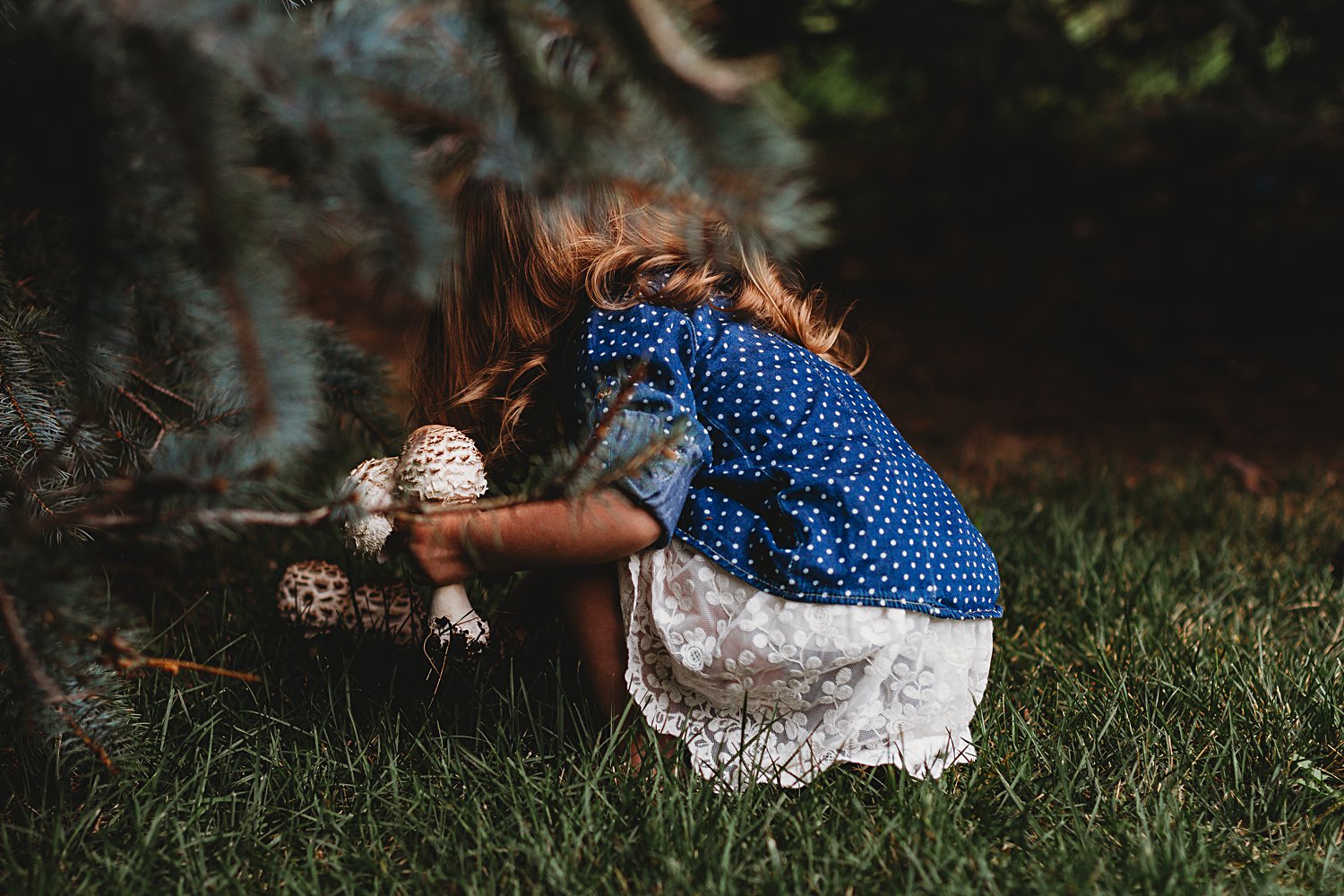 Young girl picking mushrooms under a tree