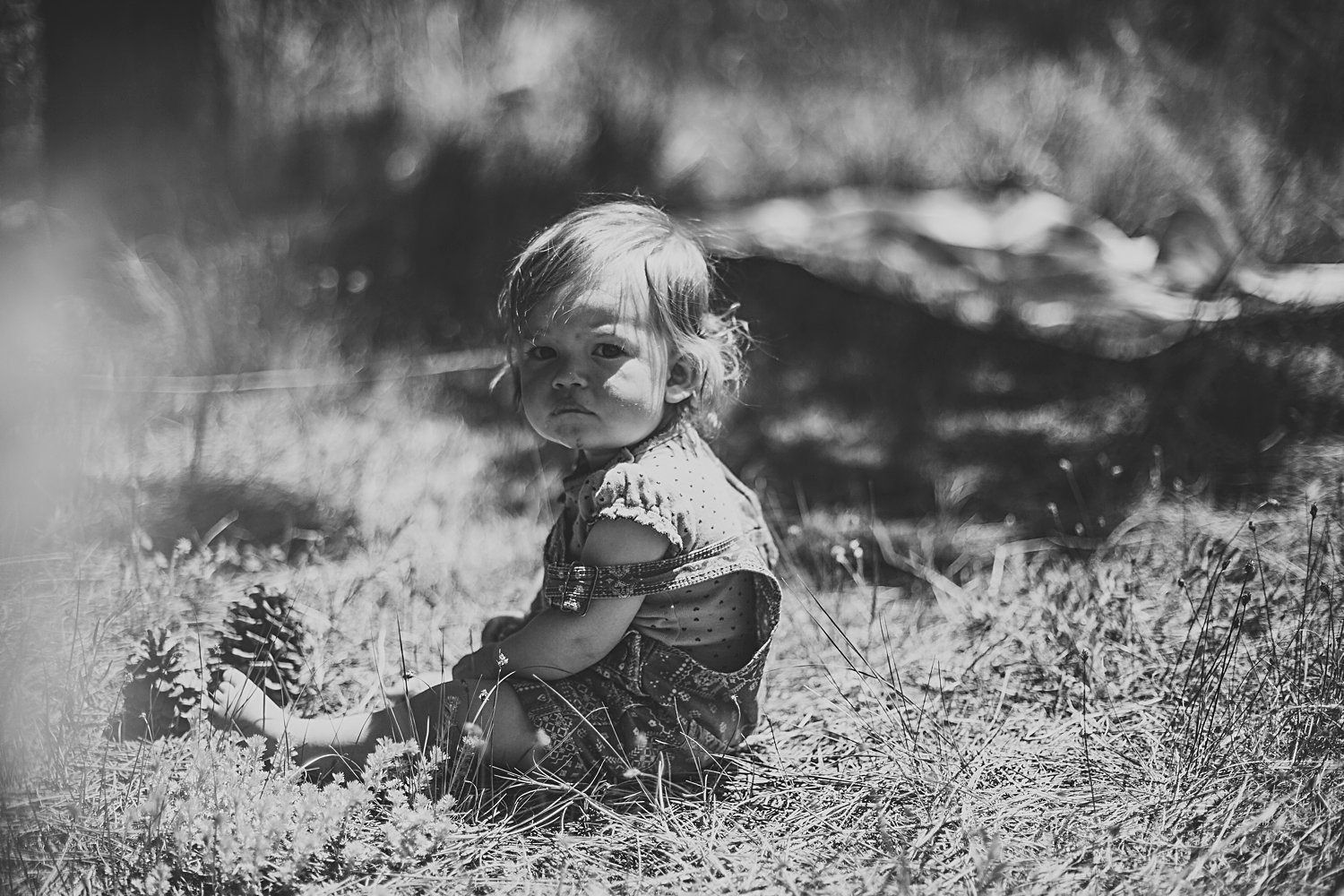 Toddler girl sitting in grass