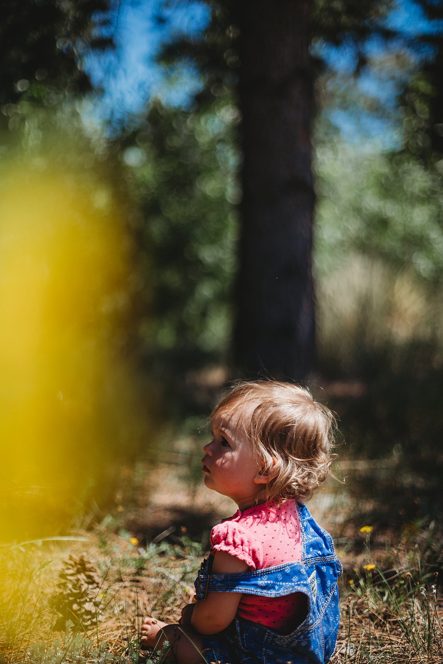 Toddler girl sitting in grass